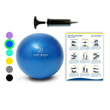 X&W Mini Pilates Ball Therapy Recovery Workout Barre Bender Core Training Pink Small Exercise Ball with Needle Pump for Fitness X&W Mini Pilates Ball Therapy Recovery Workout Barre Bender Core Training Pink Small Exercise Ball with Needle Pump for Fitness